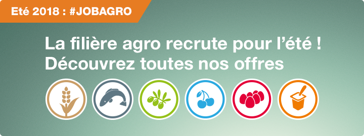 Lettre De Motivation Technicien Qualité Industrie 